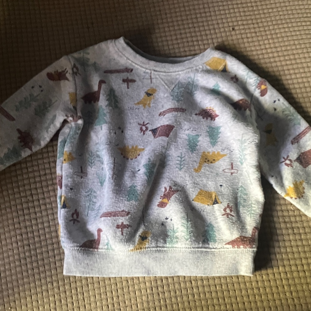 Jumping Beans Gray Dinosaur Sweatshirt